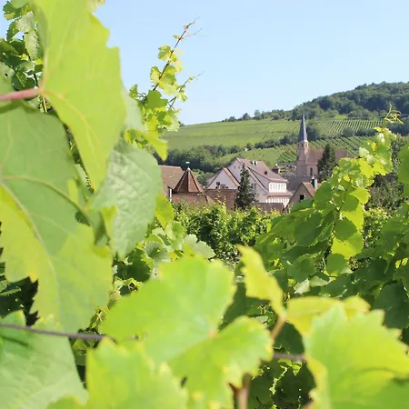 호텔 Restaurant Le Kastelberg, The Originals Boutique Andlau-au-Val