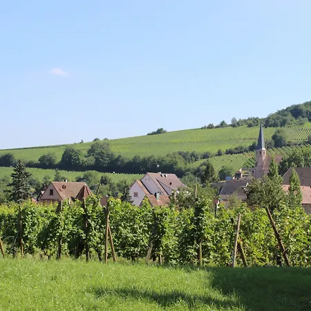 Restaurant Le Kastelberg, The Originals Boutique 호텔 Andlau-au-Val
