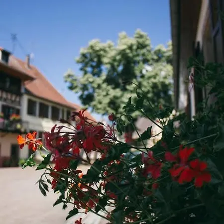 Restaurant Le Kastelberg, The Originals Boutique 3* Andlau-au-Val