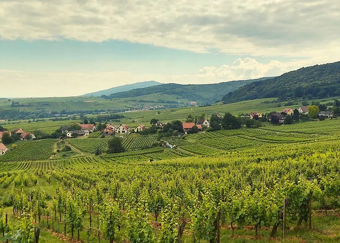 Restaurant Le Kastelberg, The Originals Boutique 3* Andlau-au-Val